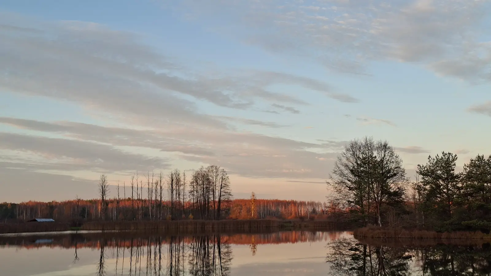 Krajobraz przedstawia spokojne jezioro o zachodzie słońca w ujęciu poziomym o proporcjach 16:9. W tafli wody idealnie odbijają się rosnące na brzegu drzewa, wśród których dominują smukłe, bezlistne pnie oraz bardziej rozłożyste drzewa iglaste po prawej stronie. Horyzont wypełnia gęsty las o ciepłej, jesiennej kolorystyce, delikatnie oświetlony ostatnimi promieniami słońca. Niebo jest wypełnione pasmami subtelnych chmur, które nabierają pastelowych odcieni różu i błękitu. Całość kompozycji emanuje spokojem i naturalną harmonią, podkreślając urok polskiej przyrody w okresie jesiennym.