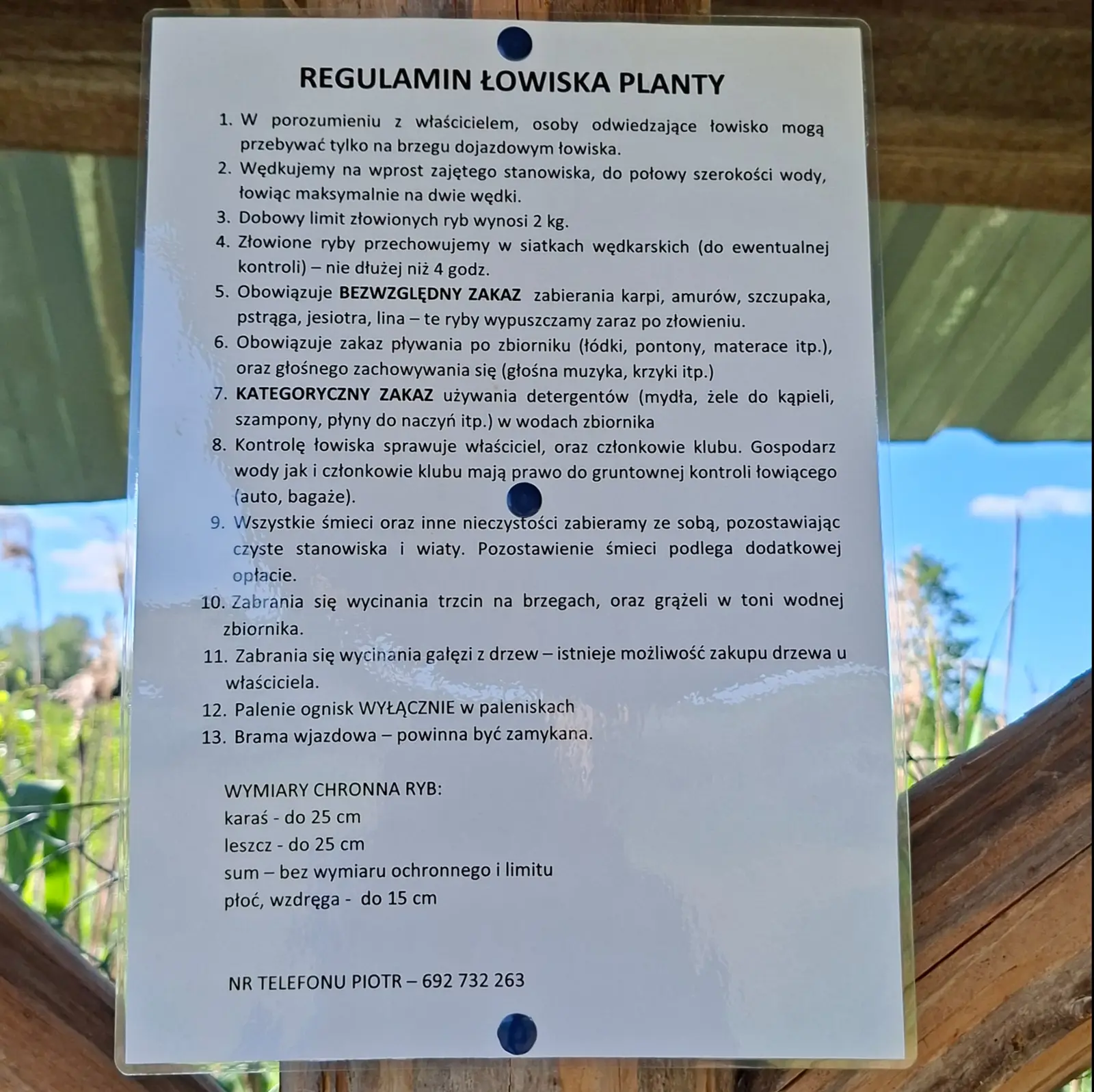 Zdjęcie przedstawia pionowo zorientowaną tablicę z regulaminem łowiska wędkarskiego, umieszczoną na drewnianej konstrukcji w otoczeniu przyrody. Dokument jest wydrukowany na białym arkuszu papieru, zabezpieczonym przezroczystą folią i przymocowanym za pomocą niebieskich pinezek. Treść regulaminu obejmuje 13 punktów dotyczących zasad wędkowania, ochrony środowiska oraz wymiarów ochronnych ryb, a także numer telefonu kontaktowego. Tekst na tablicy brzmi: „REGULAMIN ŁOWISKA PLANTY 1. W porozumieniu z właścicielem, osoby odwiedzające łowisko mogą przebywać tylko na brzegu dojazdowym łowiska. 2. Wędkujemy na wprost zajętego stanowiska, do połowy szerokości wody, łowiąc maksymalnie na dwie wędki. 3. Dobowy limit złowionych ryb wynosi 2 kg. 4. Złowione ryby przechowujemy w siatkach wędkarskich (do ewentualnej kontroli) – nie dłużej niż 4 godz. 5. Obowiązuje BEZWZGLĘDNY ZAKAZ zabierania karpi, amurów, szczupaka, pstrąga, jesiotra, lina – te ryby wypuszczamy zaraz po złowieniu. 6. Obowiązuje zakaz pływania po zbiorniku (łódki, pontony, materace itp.), oraz głośnego zachowania się (głośna muzyka, krzyki itp.) 7. KATEGORYCZNY ZAKAZ używania detergentów (mydła, żele do kąpieli, szampony, płyny do naczyń itp.) w wodach zbiornika 8. Kontrolę łowiska sprawuje właściciel, oraz członkowie klubu. Gospodarz wody jak i członkowie klubu mają prawo do gruntownej kontroli łowiącego (auto, bagaże). 9. Wszystkie śmieci oraz inne nieczystości zabieramy ze sobą, pozostawiając czyste stanowiska i wiaty. Pozostawienie śmieci podlega dodatkowej opłacie. 10. Zabrania się wycinania trzcin na brzegach, oraz grążeli w toni wodnej zbiornika. 11. Zabrania się wycinania gałęzi z drzew – istnieje możliwość zakupu drzewa u właściciela. 12. Palenie ognisk WYŁĄCZNIE w paleniskach 13. Brama wjazdowa – powinna być zamykana. WYMIARY CHRONNA RYB: karaś - do 25 cm, leszcz - do 25 cm, sum - bez wymiaru ochronnego i limitu, płoć, wzdręga - do 15 cm. NR TELEFONU PIOTR – 692 732 263”. Tło zdjęcia jest rozmyte, co sugeruje widok na staw z roślinnością wodną i błękitne niebo w słoneczny dzień. Kompozycja utrzymuje proporcje zbliżone do kwadratu.