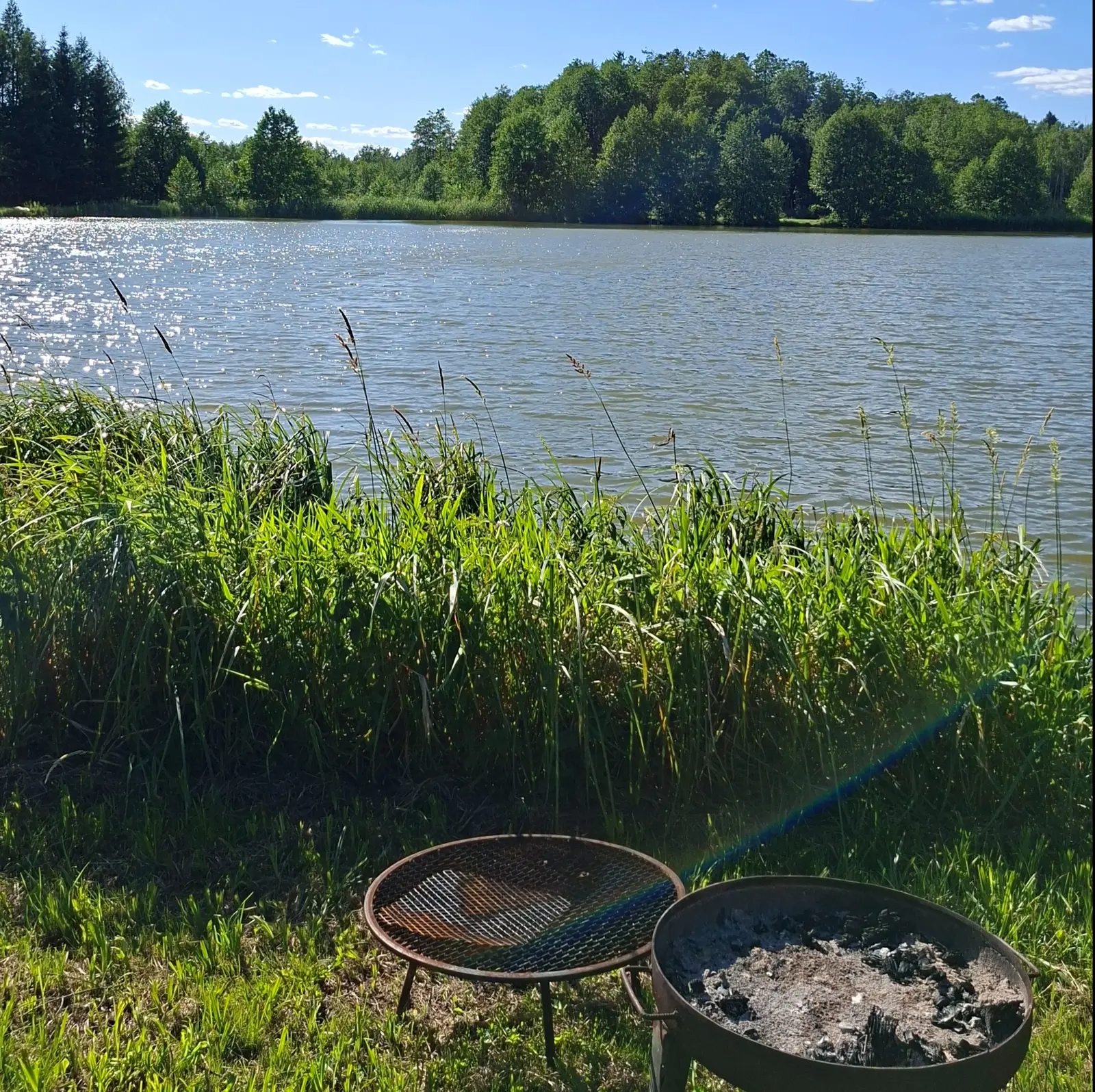 Obraz przedstawia malowniczy krajobraz nad jeziorem w słoneczny dzień, utrzymany w formacie kwadratu. Na pierwszym planie, na trawiastym brzegu, widoczne są dwa metalowe paleniska ogrodowe, z których jedno zawiera pozostałości popiołu. Przed nimi rosną wysokie, zielone trawy, które częściowo zasłaniają widok na taflę wody, w której odbijają się promienie słońca. W tle znajduje się szeroka perspektywa spokojnego jeziora otoczonego gęstym, soczyście zielonym lasem liściastym. Niebieskie niebo z delikatnymi, białymi chmurami dopełnia sielankowy charakter tej letniej scenerii rekreacyjnej.